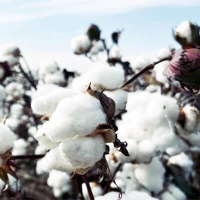 Bedruckbare Baumwolltaschen aus nachhaltiger Bio-Baumwolle